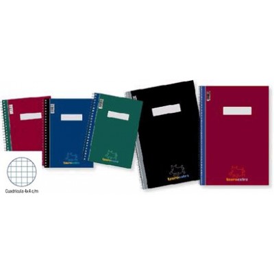 BLOC 1/4 40 H.TAURO...