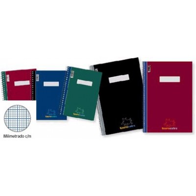 BLOC 1/4 40 H.TAURO...