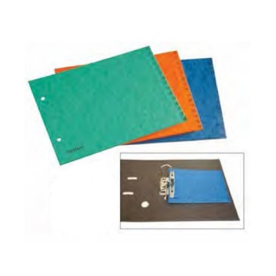 INDICE ARCHIVADOR CARTULINA...