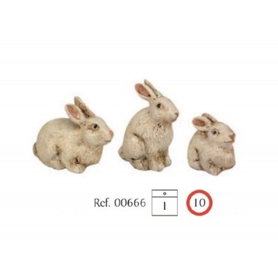CONEJO DUREXINA PARA FIG. 8...
