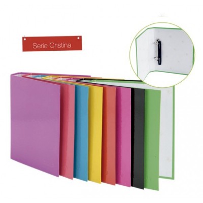 CARPETA Fº 4 ANILL. 40 MM....