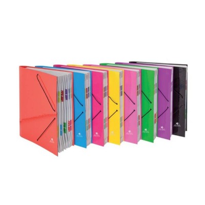 CARPETA ACORDEON 12 BOLS....