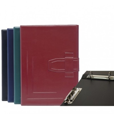 CARPETA Fº.4 A.CLIP.PASAD.LISA