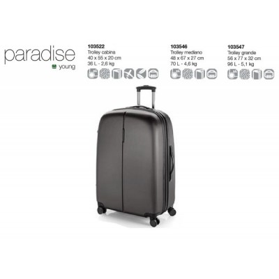 TROLLEY C22 PARADISE GRIS